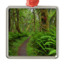 Maple Glade trail, ferns and moss covered Christmas Ornaments