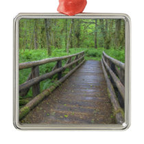 Maple Glade trail wooden bridge, ferns and Christmas Ornament