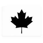Maple Leaf Black Transp The MUSEUM Zazzle Gifts Post Card