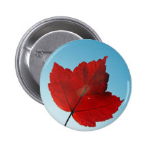 maple leaf buttons