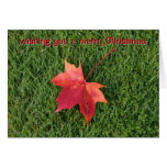 Maple Leaf Christmas Card