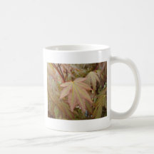 Maple leaf mugs