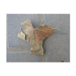 Maple leaf on pavement postcard