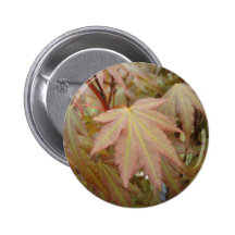 Maple leaf pin