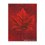 Maple Leaf Postcards Canada Art Souvenir Cards