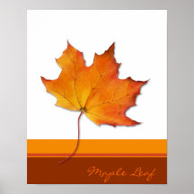 Maple Leaf Poster