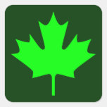 Maple Leaf - Stickers