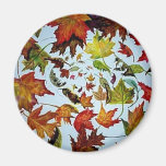 Maple Leaf Vortex painting Fridge Magnet