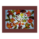 Maple Leaf Vortex painting Postcards