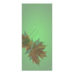 Maple Leave Rack Card