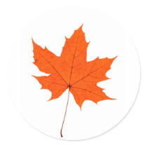 Maple Leave Stickers