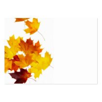 Maple leaves business cards