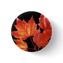 Maple Leaves Buttons