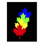 Maple Leaves - Canada Post Card