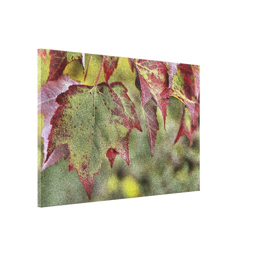 Maple Leaves Canvas Wall Art Print Stretched Canvas Prints