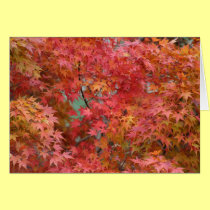 Maple Leaves cards