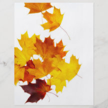 Maple leaves flyer