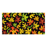maple leaves photo card