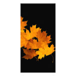 Maple leaves photo card template