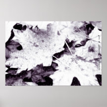 Maple Leaves Print