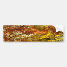 Maple tree foliage bumper sticker