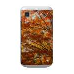 Maple tree foliage samsung galaxy cover