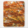 Maple tree foliage mouse pads
