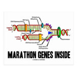 Marathon Genes Inside (DNA Replication) Post Card