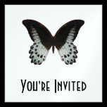 Marble Swallowtail Butterfly invitations