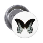 Marble Swallowtail Butterfly buttons