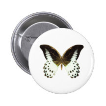 Marble Swallowtail Butterfly Pinback Buttons