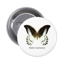Marble Swallowtail with Name Button