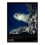 march 2010 calendar postcards