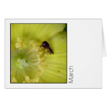 March Greeting Card