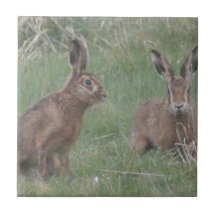 March Hares Tiles