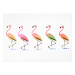 March of the Tropical Flamingos Invitation