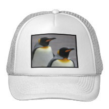 Marching Penguins Baseball Hat
