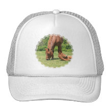 Mare and Colt Baseball Hat