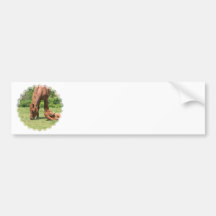 Mare and Colt Bumper Stickers