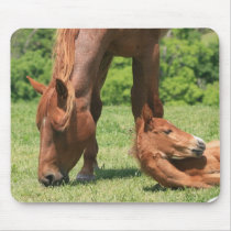 Mare and Colt Mouse Pad mousepads