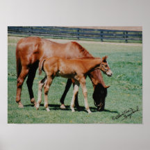 Mare and Foal Poster