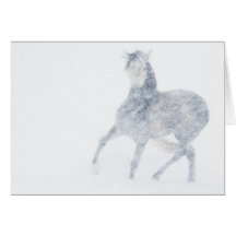 Mare in a Blizzard Horse Greeting Card