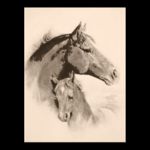 Mare-n-Foal with charcoal effect-tint posters