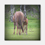 Mare With Colt - Nearness of God Magnet