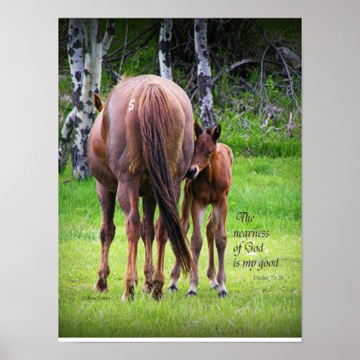 Mare With Colt Poster - 12 x 16