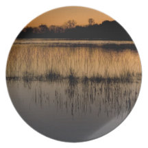 Marécage au coucher du soleil assiette pour soirée