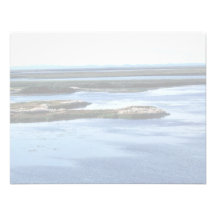 Marécages de rivière de Selawik et herbe de coton Carton D'invitation