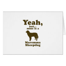 Maremma Sheepdog Greeting Card