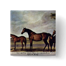 Mares And Foals Anxious Before An Impending Storm Pinback Button