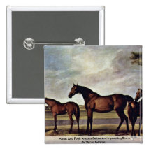Mares And Foals Anxious Before An Impending Storm Pinback Button